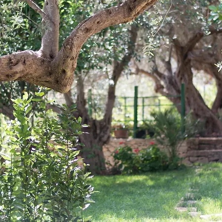 Il Grillo Casa vacanze *