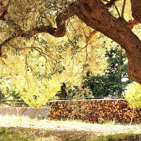 Il Grillo Casa vacanze Chiaramonte Gulfi