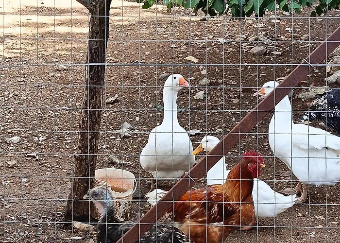 Casa vacanze Il Grillo