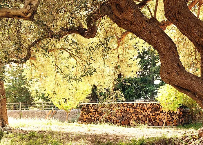 Il Grillo Casa vacanze Chiaramonte Gulfi